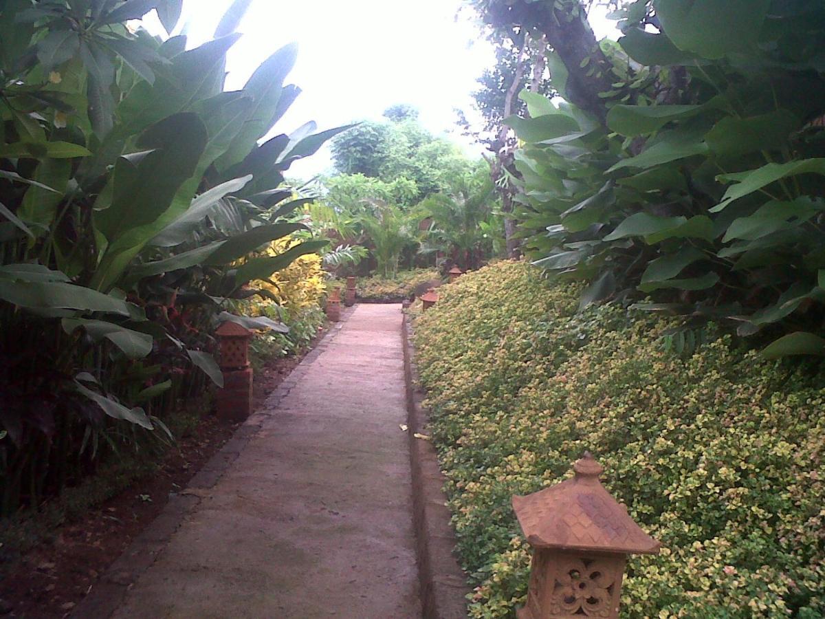 Eliska Sari Bungalows Sumberkima Pemuteran Exteriér fotografie